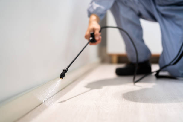 Professional exterminator conducting IPM assessment in Beverly Hills