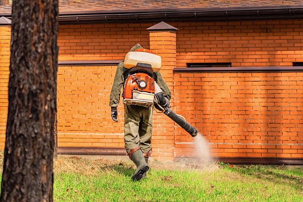 Top rated local Mosquito Control specialists in Beverly Hills, MI